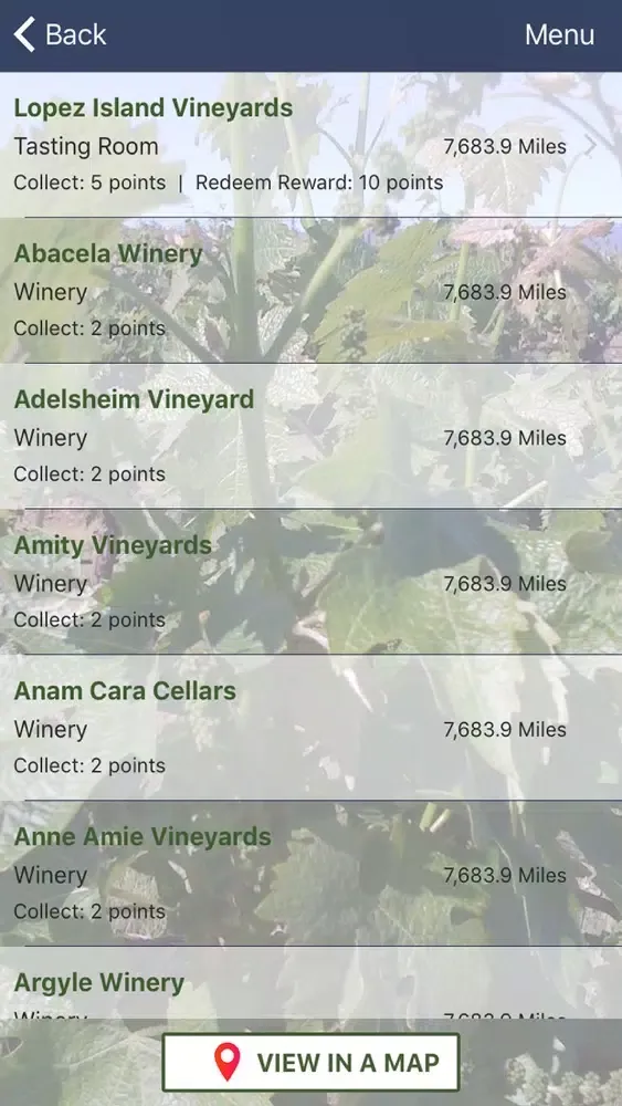 صور Green Vine Wine Insider
