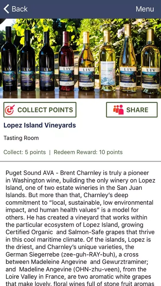 صور Green Vine Wine Insider