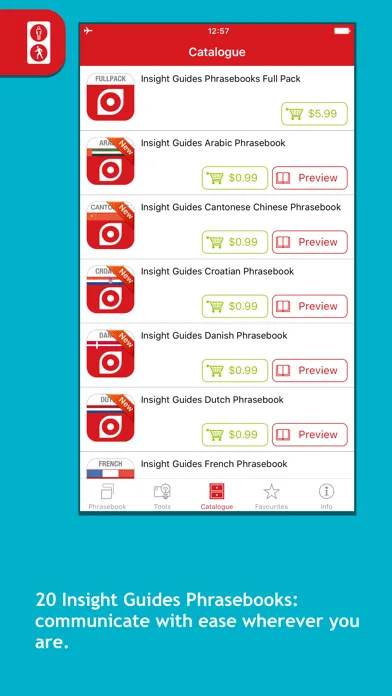 Insight Guides English Phrasebooks应用截图