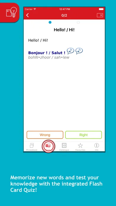 Insight Guides English Phrasebooks应用截图