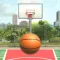 Basketball Court Dunk Shoot