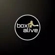 Boxr Alive