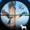Duck Hunting Wild Simulator