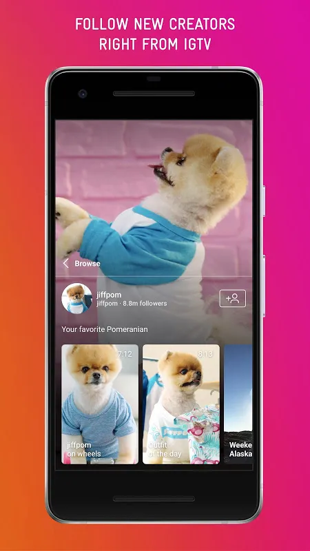 Capturas de pantalla de IGTV