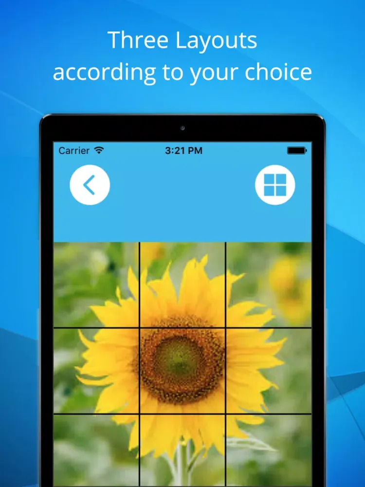 Full Display Profile w/o Crop-Share on Instagram iPad  Screenshots