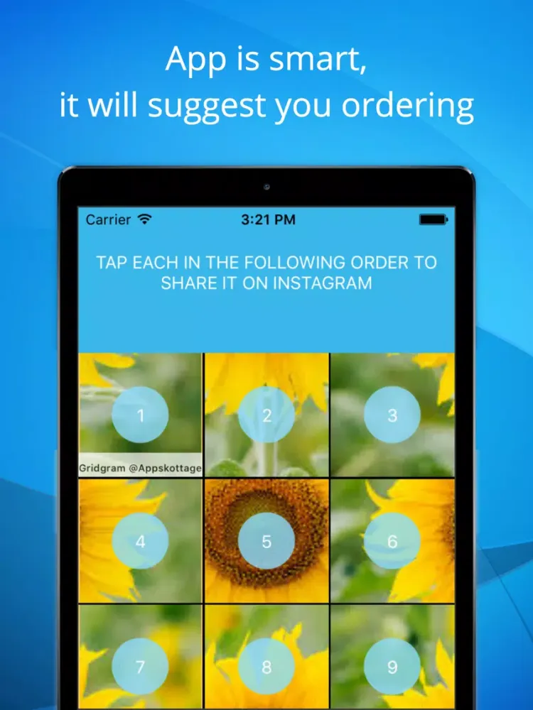 Full Display Profile w/o Crop-Share on Instagram iPad  Screenshots