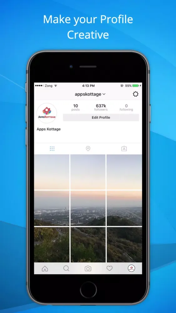 Full Display Profile w/o Crop-Share on Instagram Screenshots