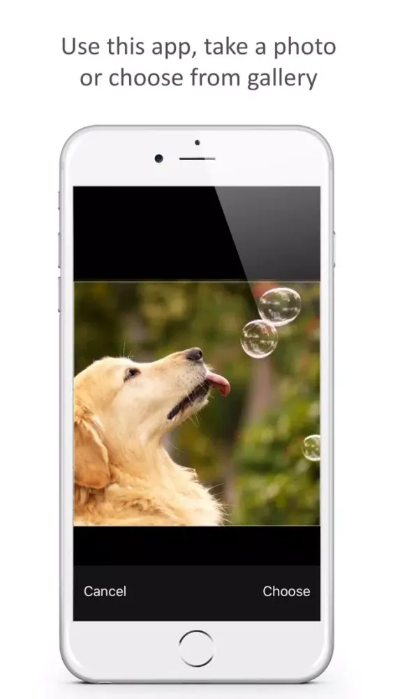 Capturas de tela do IG Tile Maker: Grid Filtered Banner for Instagram