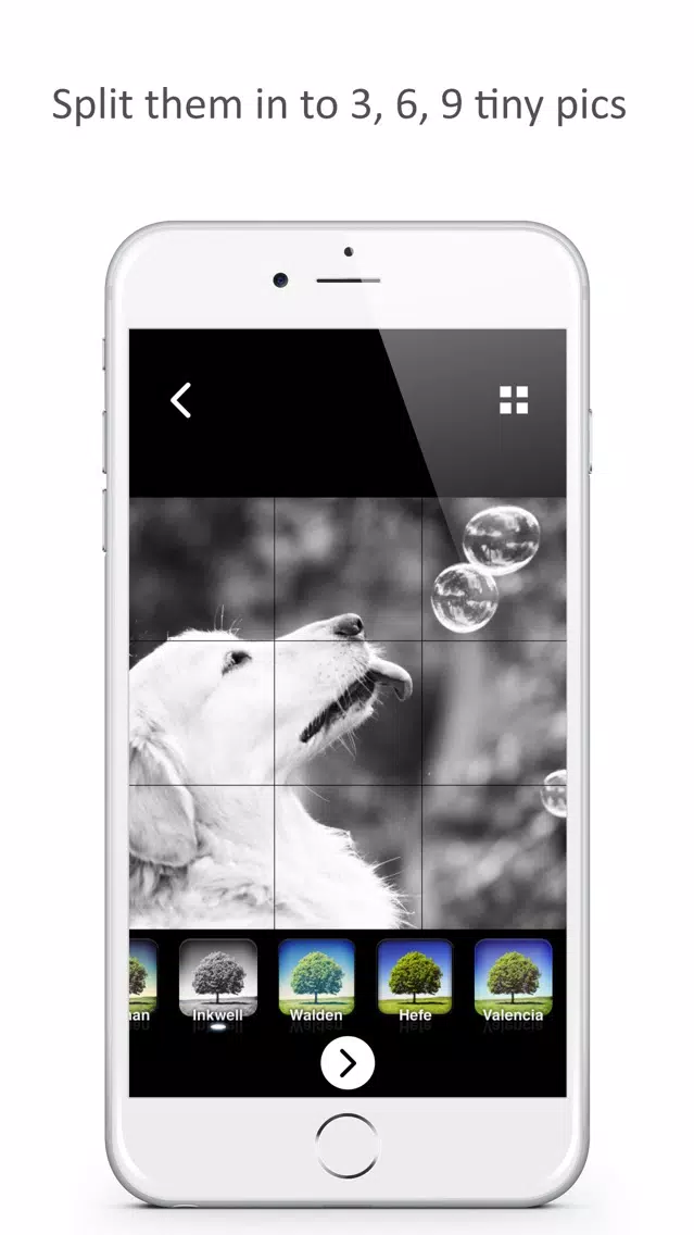 Capturas de pantalla de IG Tile Maker: Grid Filtered Banner for Instagram