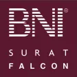 Falcon Buddy Falcon Buddy