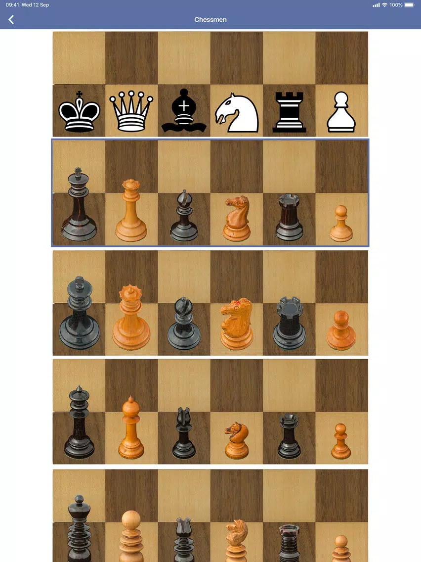Bullet Chess iPad  Ekran Görüntüleri
