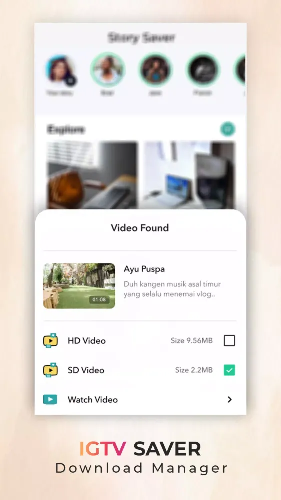 Story Saver Screenshots