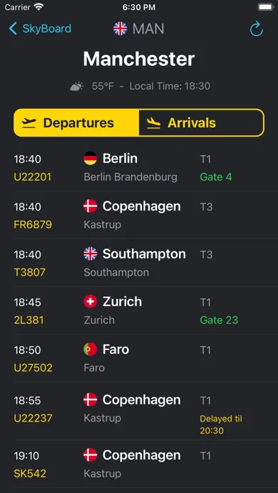 Tangkapan layar Live Flights