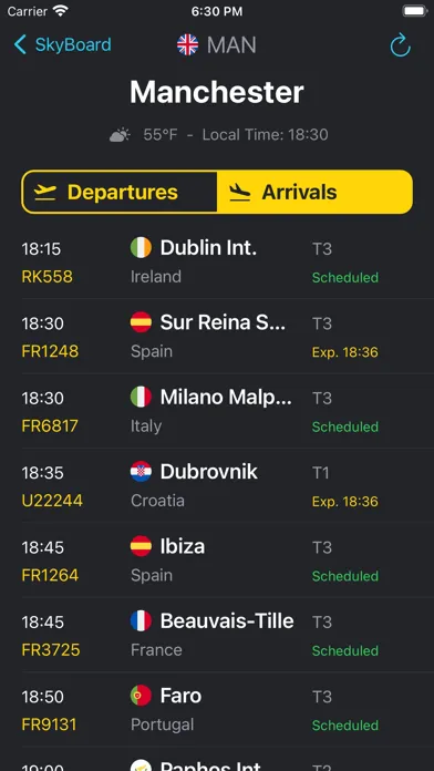 Tangkapan layar Live Flights