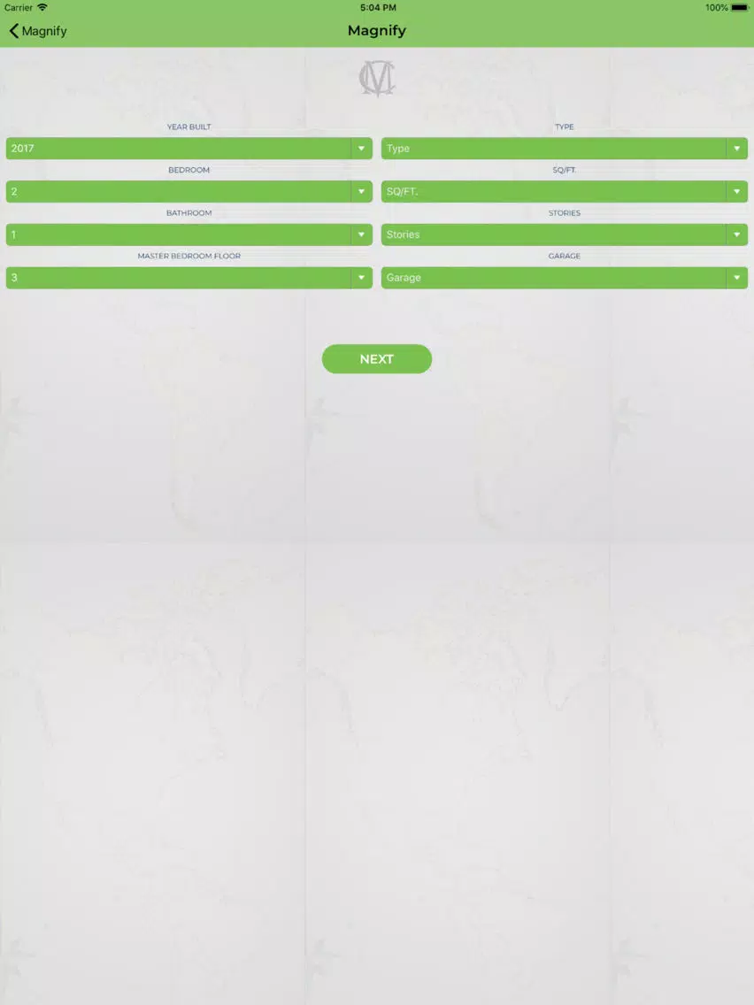 Ảnh chụp màn hình của Magnify Properties iPad 