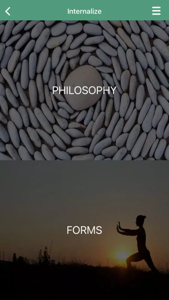 Capturas de pantalla de Integral Tai Chi