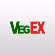 Vegex