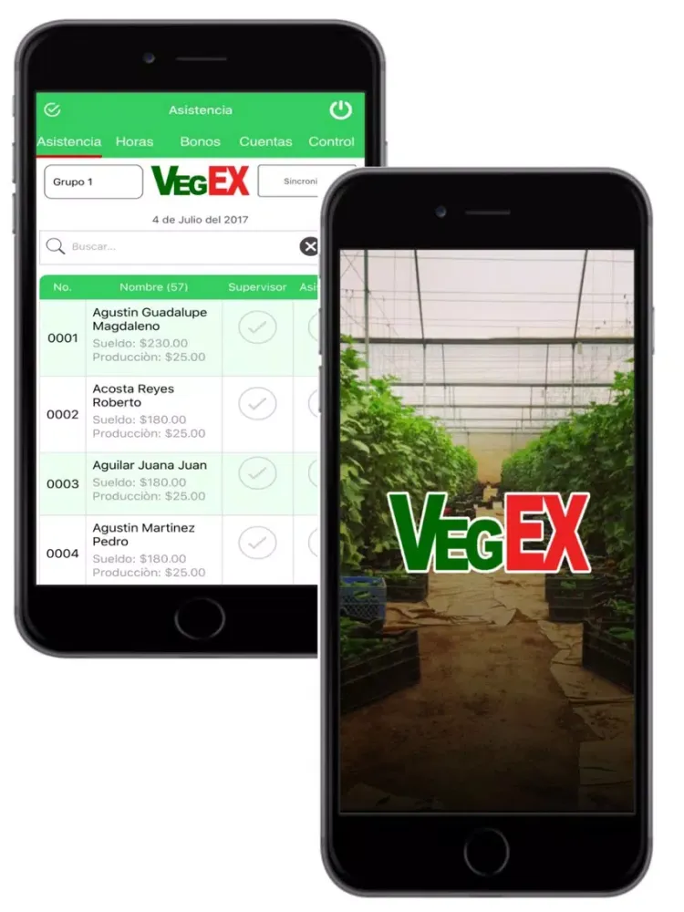Screenshot di Vegex iPad 
