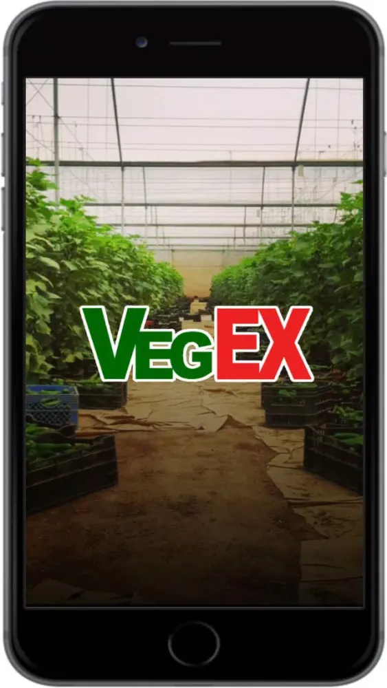 Screenshot di Vegex