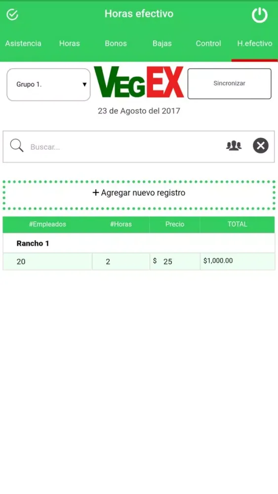 Screenshot di Vegex