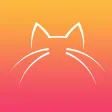 Caring for my cats