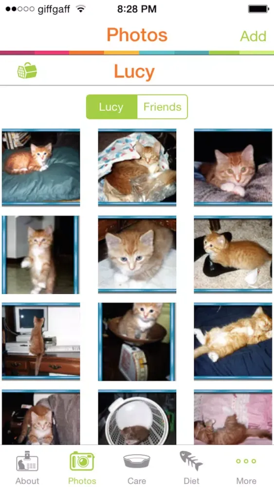 Caring for my cats स्क्रीनशॉट
