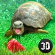 Turtle Simulator: House Pet Life Turtle Simulator: House Pet Life