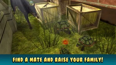 Ảnh chụp màn hình của Turtle Simulator: House Pet Life
