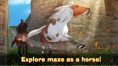 Wild Horse Maze Escape Simulator應用截圖