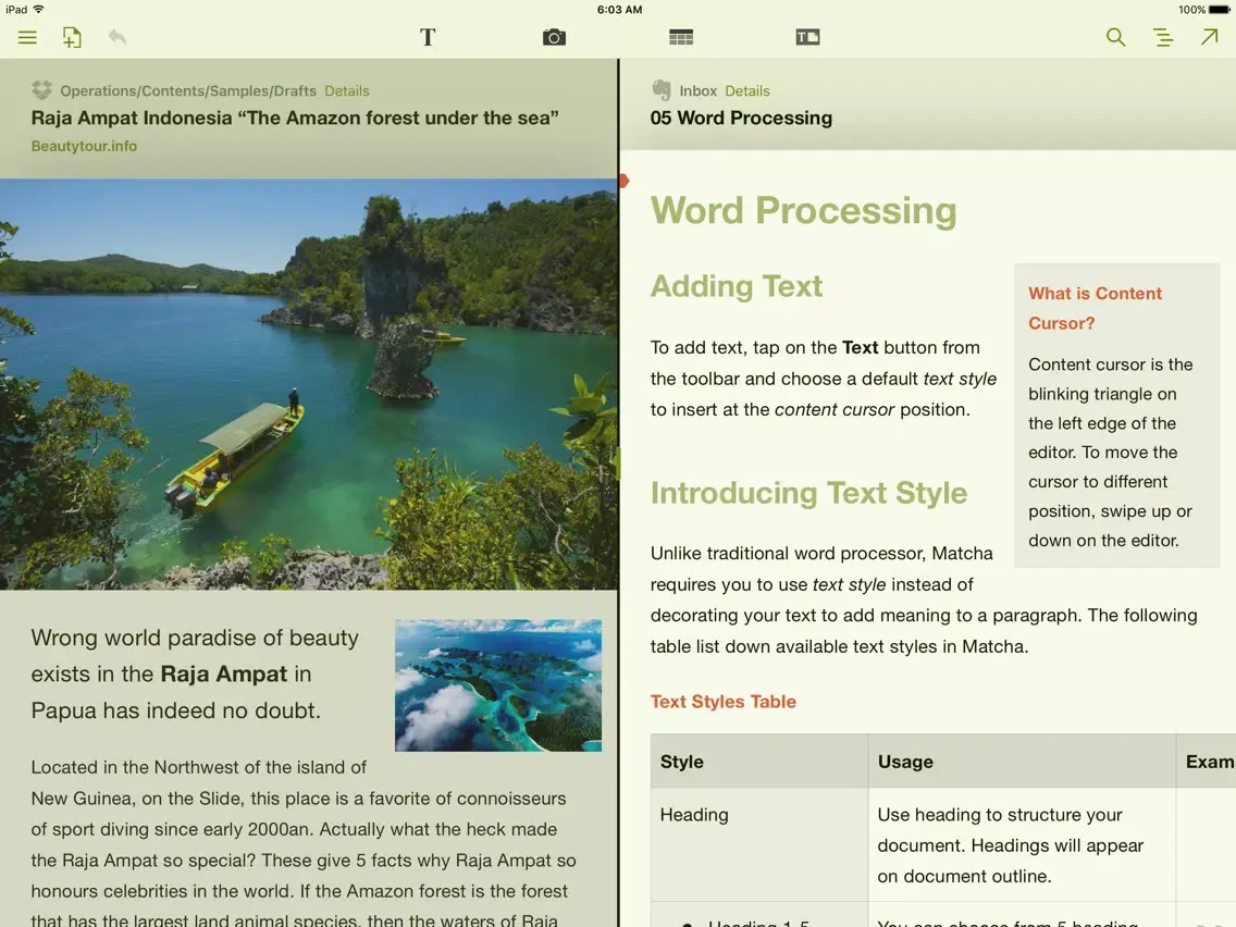 Matcha Word Processor: Create Document & Take Note iPad  Screenshots