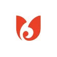 Job Shymkent Job Shymkent