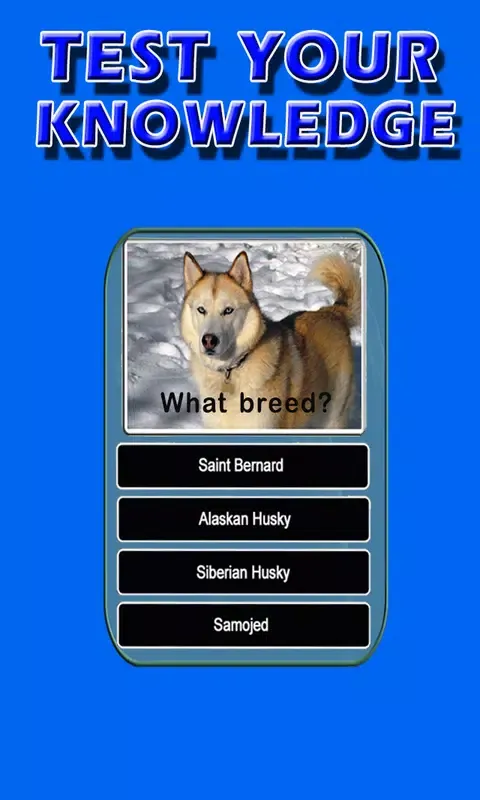 Скриншоты Dog Breeds Trivia