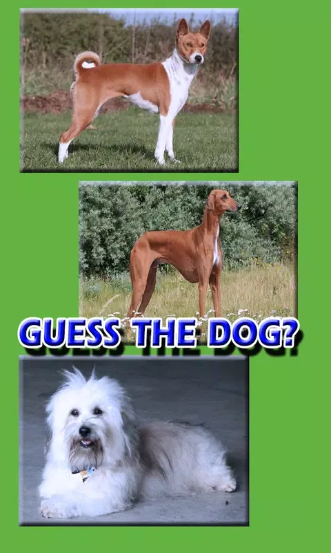 Скриншоты Dog Breeds Trivia