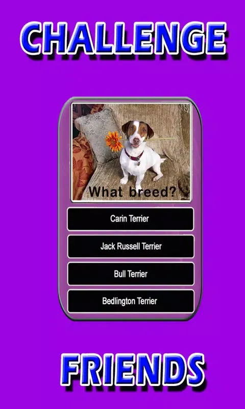 Скриншоты Dog Breeds Trivia