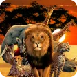 Animals Quiz