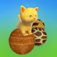 Jumpy Kitten Jumpy Kitten