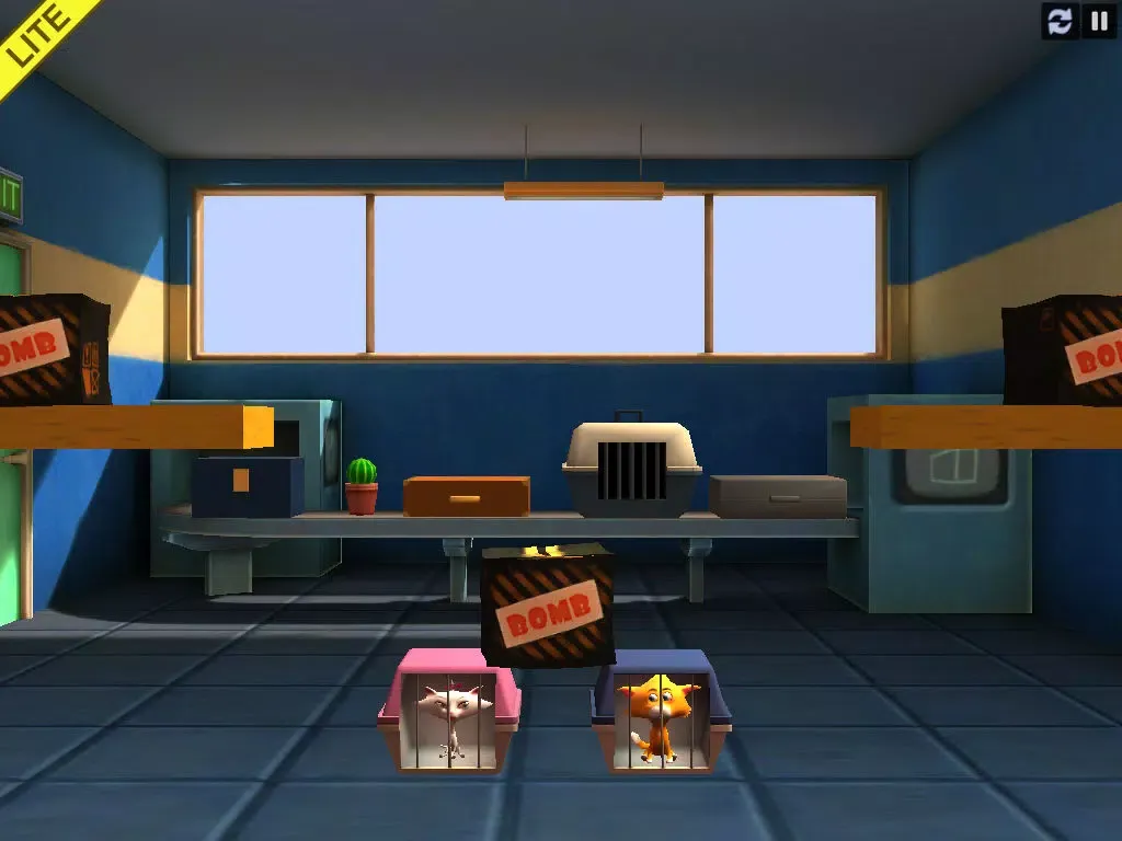 Crazy Cats Love Lite iPad 應用截圖