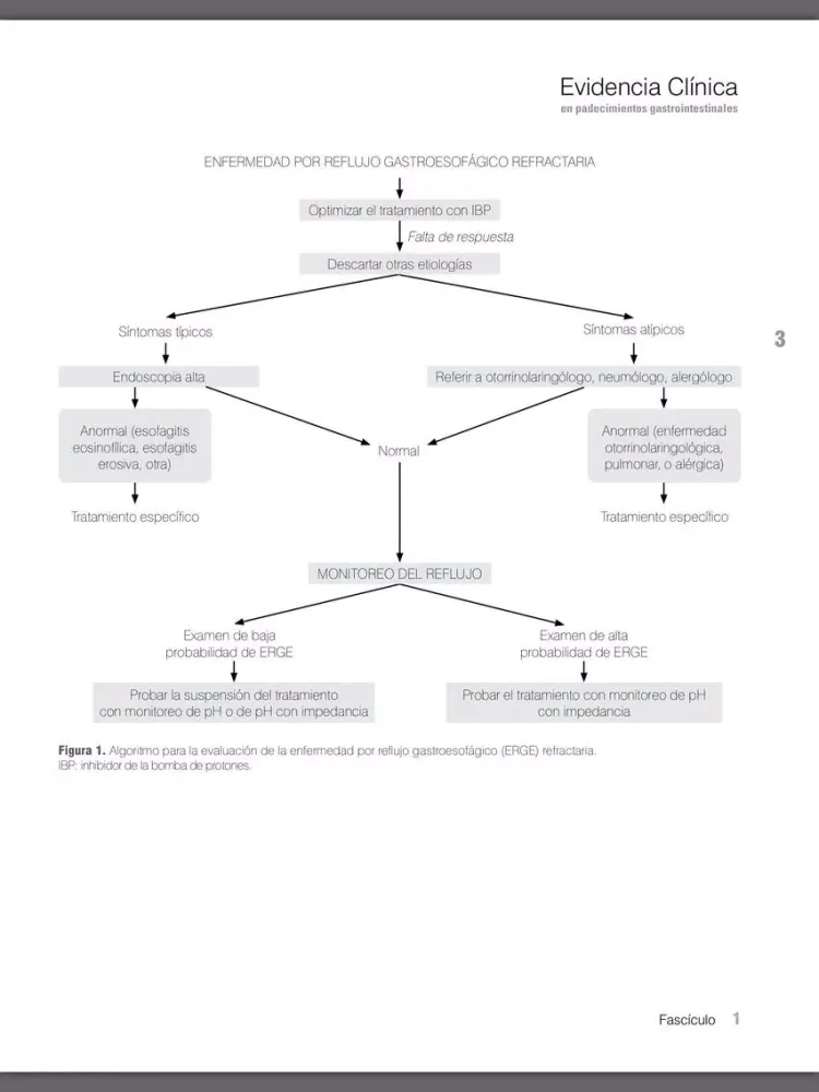 Gastro Plus iPad  Screenshots