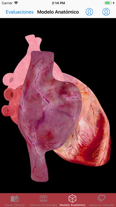 تصاویر Update in Cardiology
