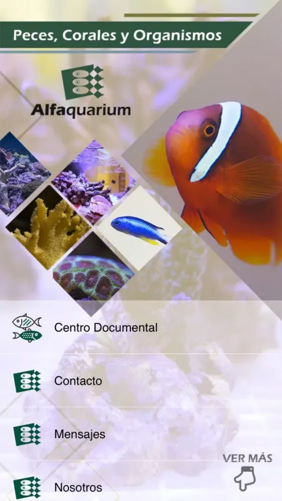 Screenshot di Alfaquarium