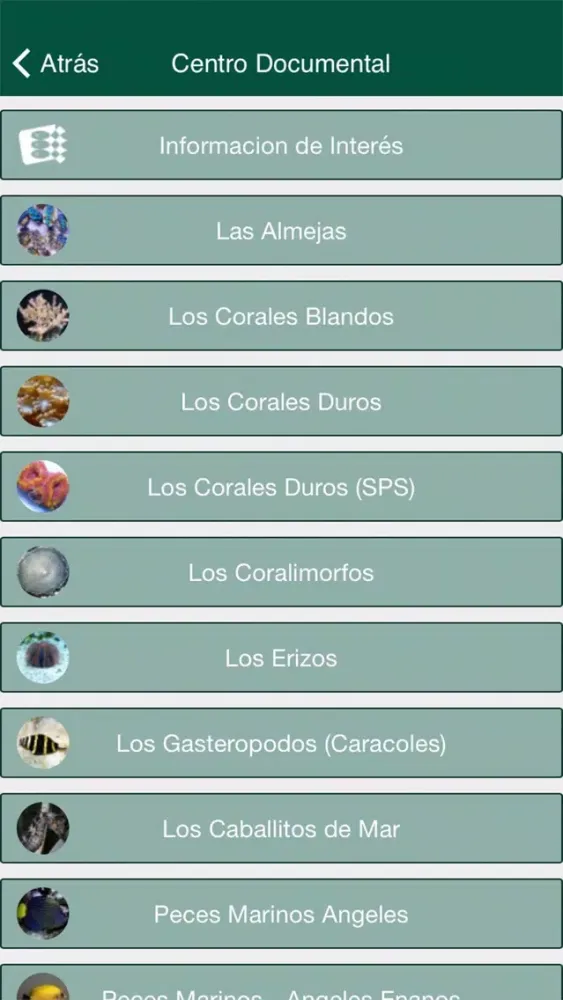 Screenshot di Alfaquarium
