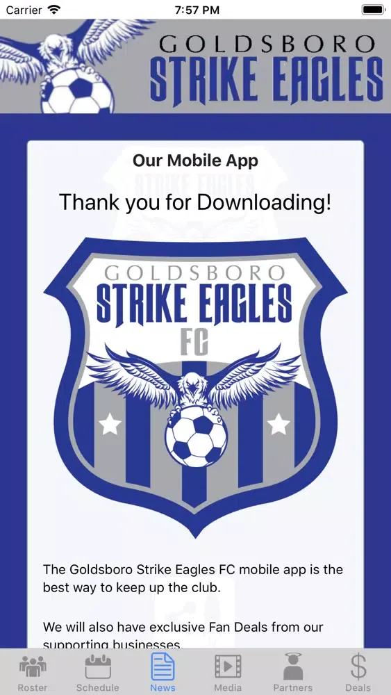 Capturas de pantalla de Strike Eagles