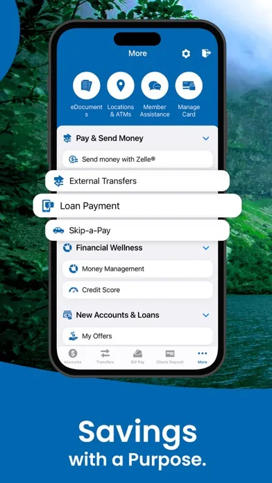 BluPeak Credit Union Screenshots