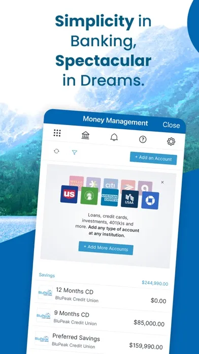 BluPeak Credit Union Screenshots