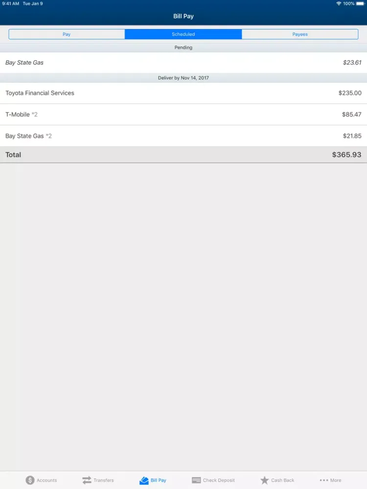 OCCU Is Now Vibe iPad 应用截图