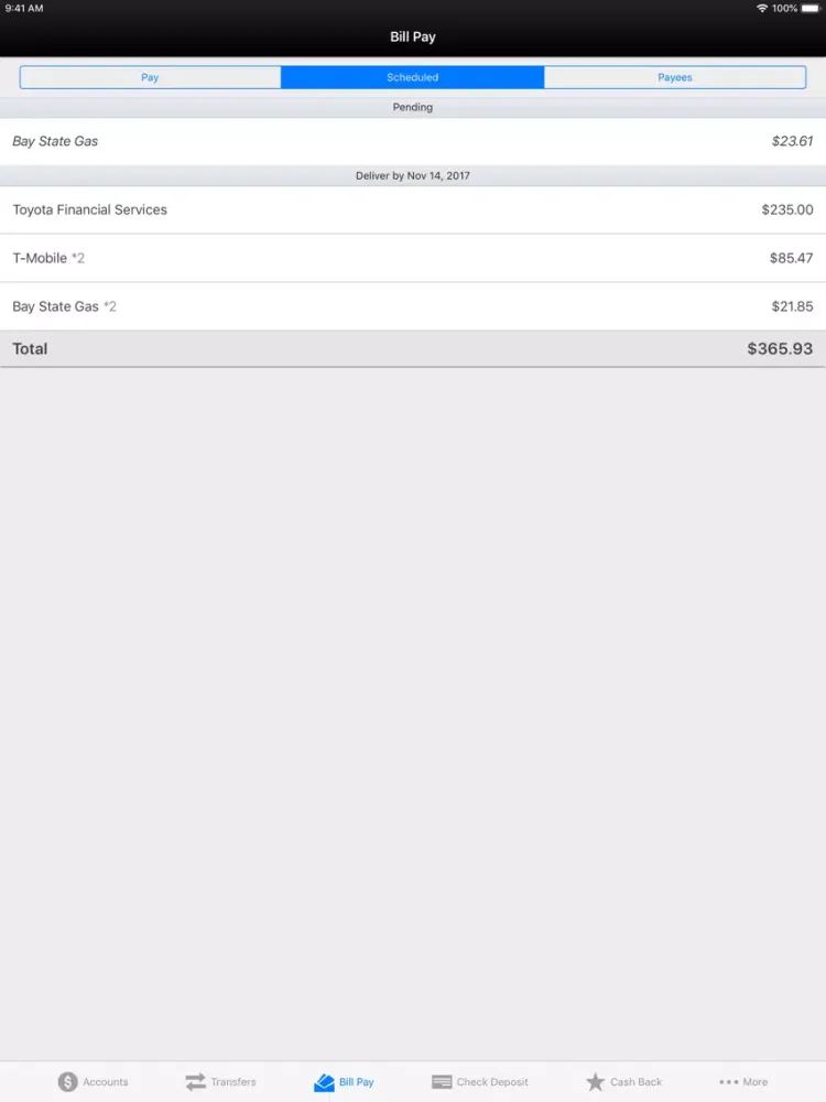 صور Hawaii Pacific FCU iPad 