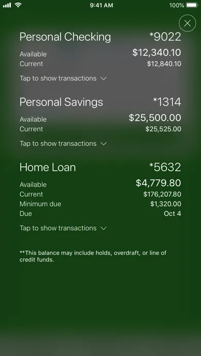 Tangkapan skrin RTP Federal Credit Union