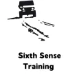 IntuitionPro Sixth Sense IntuitionPro Sixth Sense