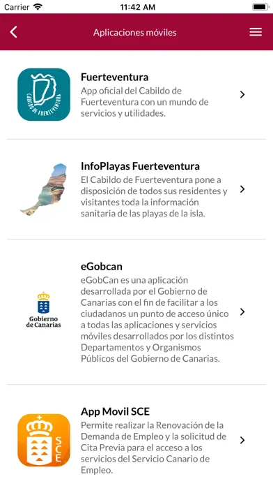 Puerto del Rosario應用截圖