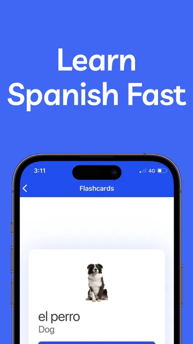 Tangkapan layar Learning Spanish for Beginners